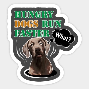 HUNGRY DOGS RUN FASTER - What! Sticker